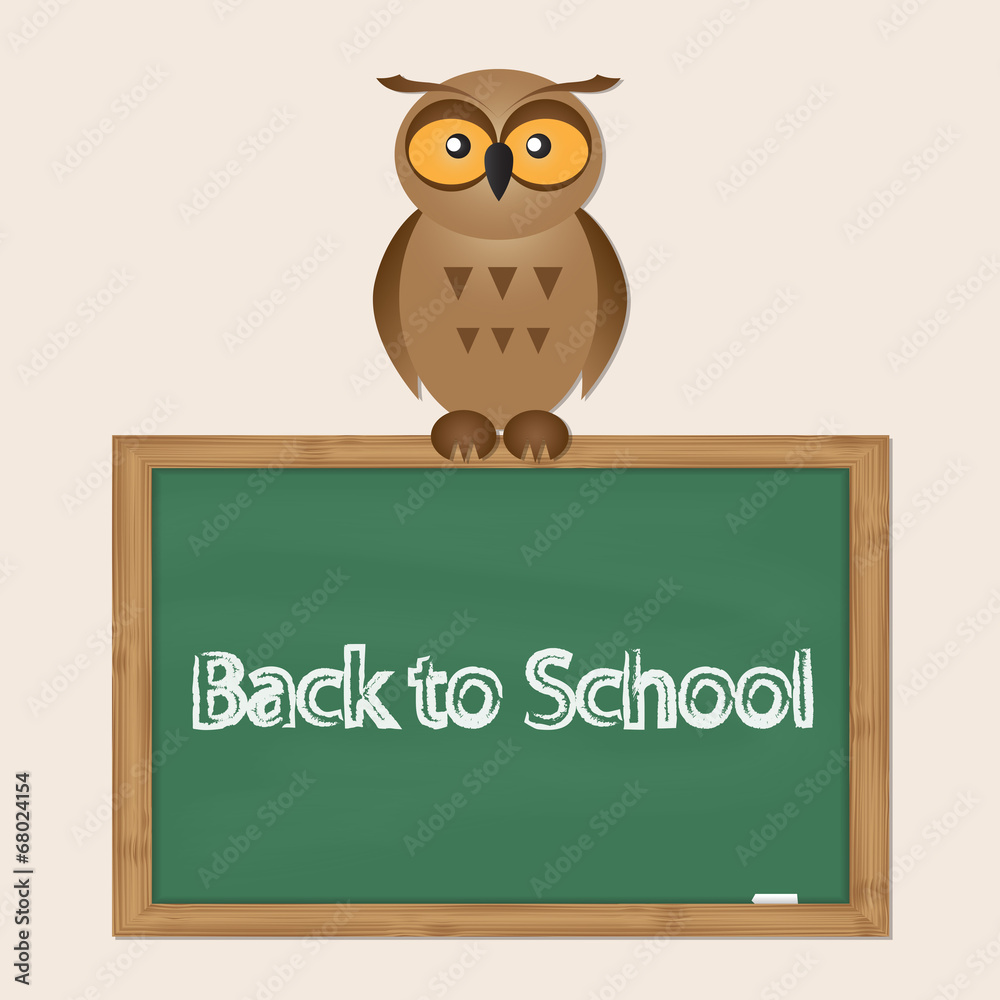 funny owl with school board