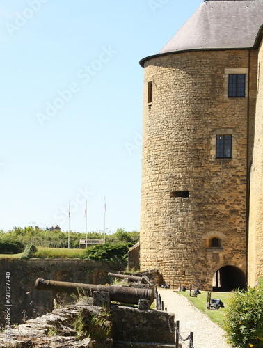 Canons and front of the Castle of Sedan