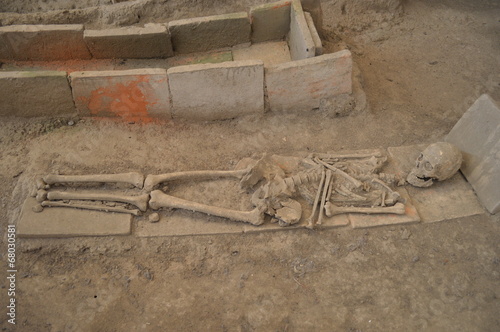 The skeleton of a Roman archaeological site Viminacium, Serbia