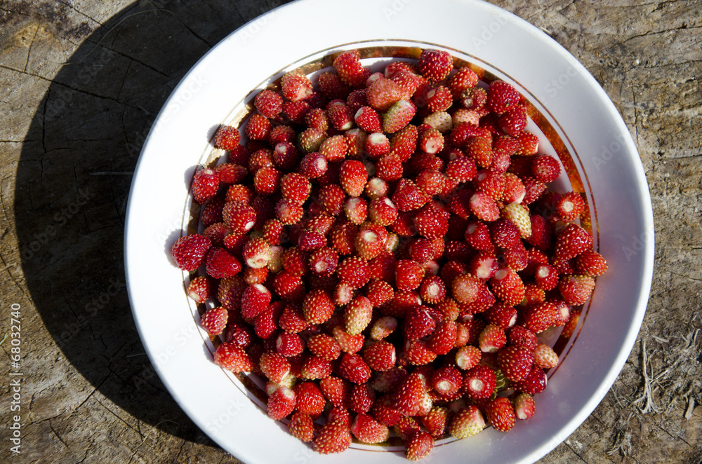 Wild strawberry on the white plate Wild strawberry on the white plate