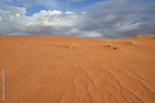 Sandrippeln in der Namib