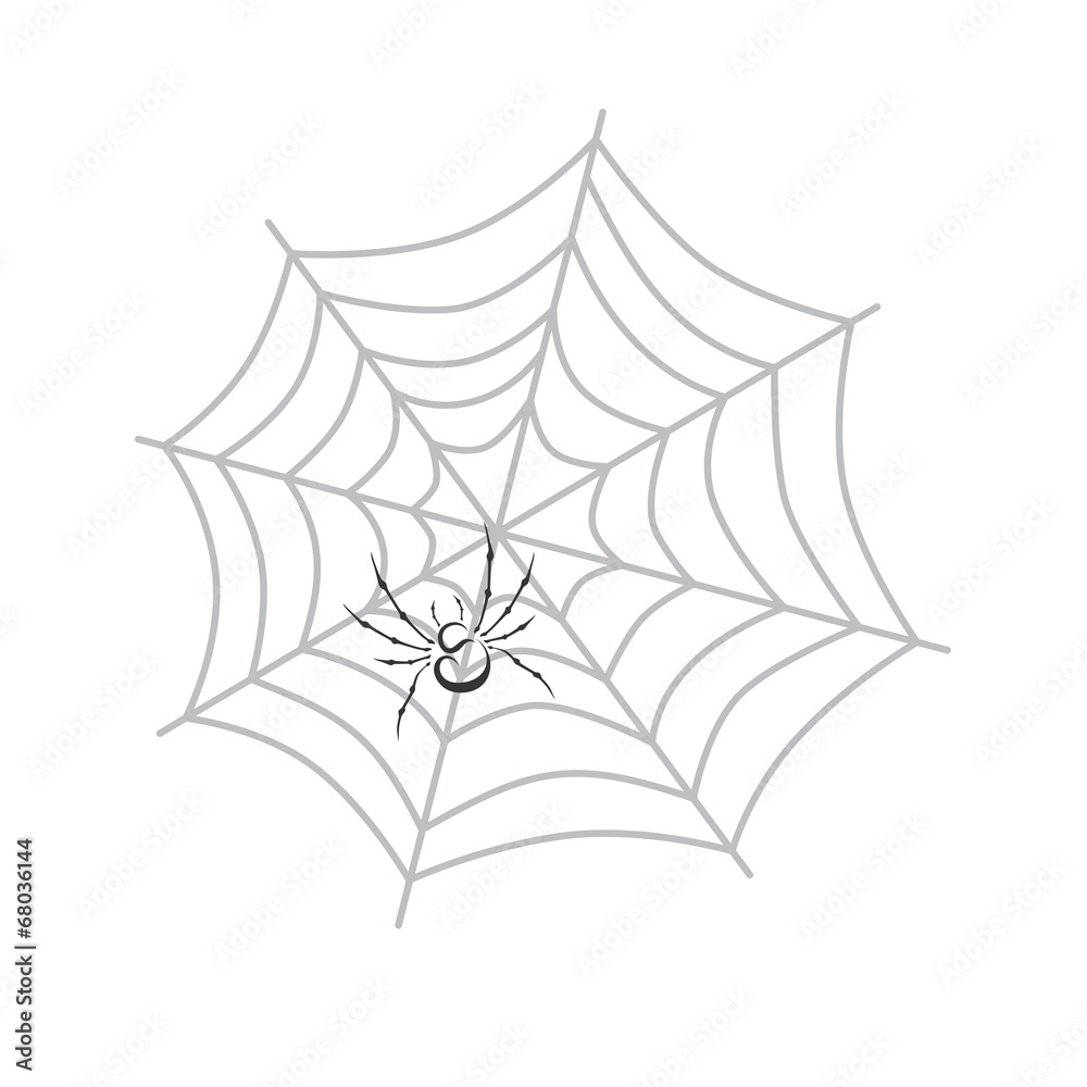 Fototapeta premium color spiderweb art