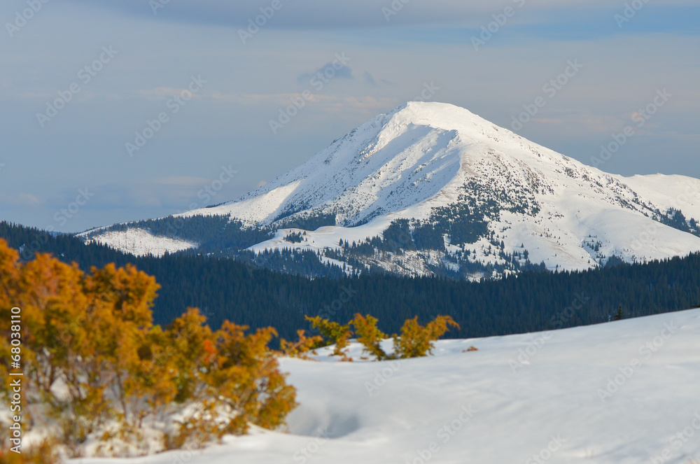 Fototapeta premium Winter in the mountains
