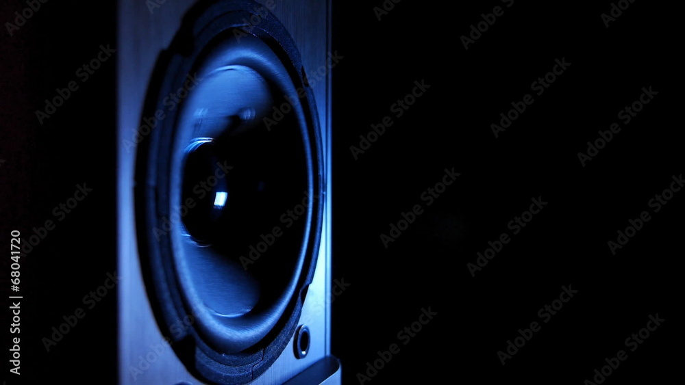 In the speaker vibrates woofer