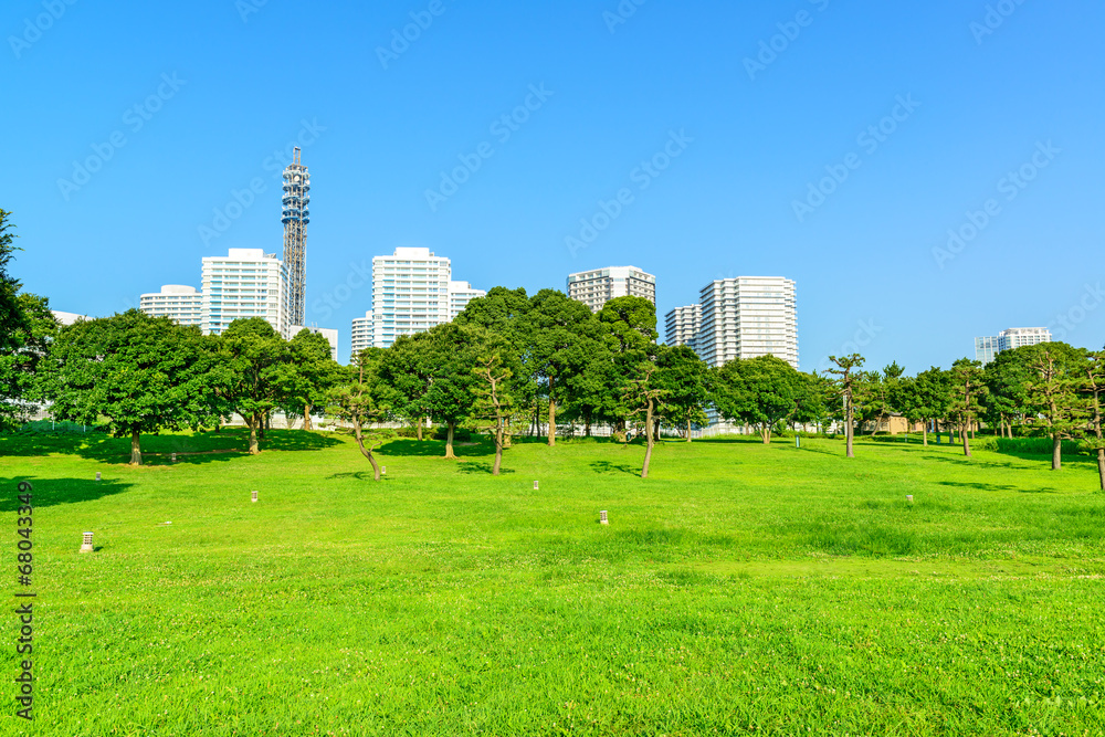 Fototapeta premium Landscape grass prospects the modern City buildings of landmark