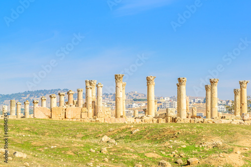 Landscape grass prospects the columns of Gerasa, Jordan