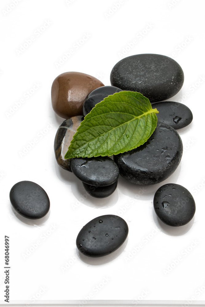 Fototapeta premium pebbles and green leaf