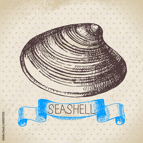 Seashell hand drawn sketch. Vintage illustration