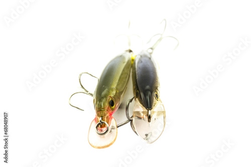 Quadro em tela Fish bait