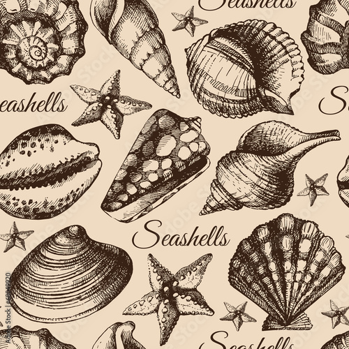 Seashell seamless pattern. Hand drawn sketch illustration