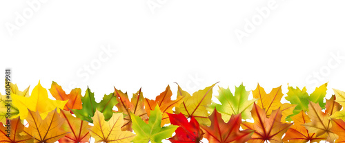 Seamless pattern of autumn leaves, vector illustration.
