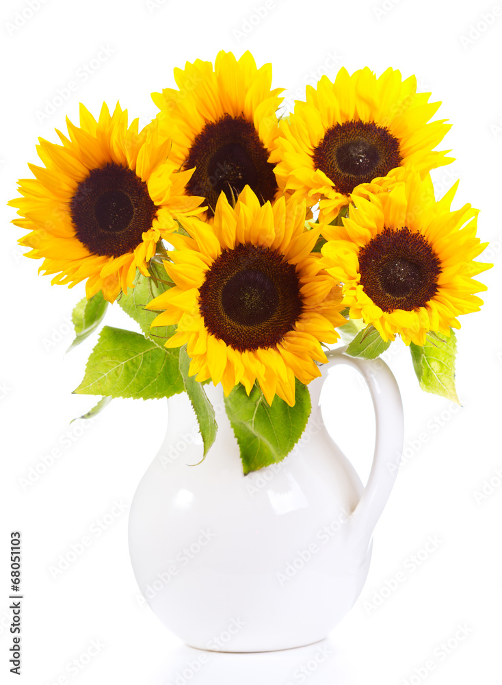 Obraz premium sunflowers