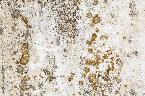 Cement wall texture
