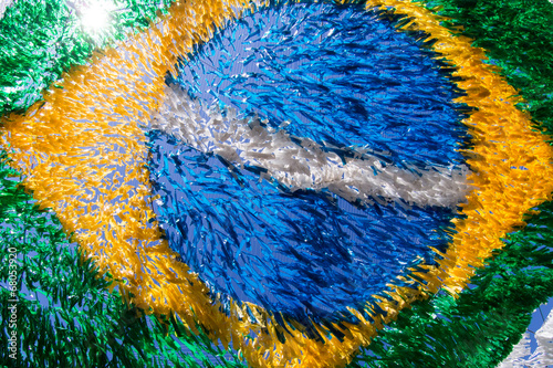 Brazilian Flag