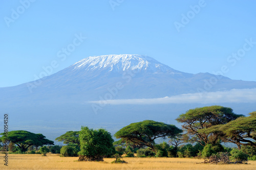 Snow on top of Mount Kilimanjaro © byrdyak