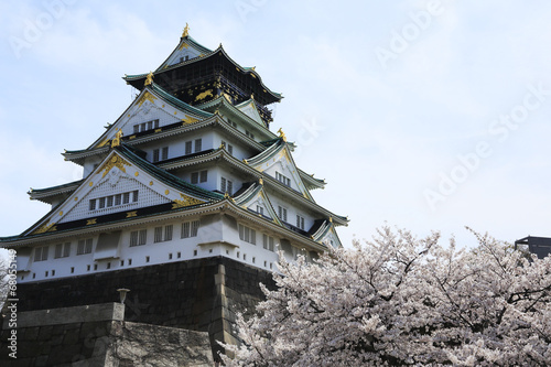 桜と大阪城 © yoshiyayo