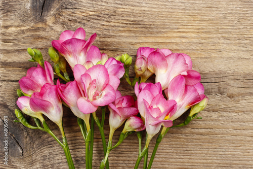 Fototapeta Naklejka Na Ścianę i Meble -  Pink freesia flowers on wooden background