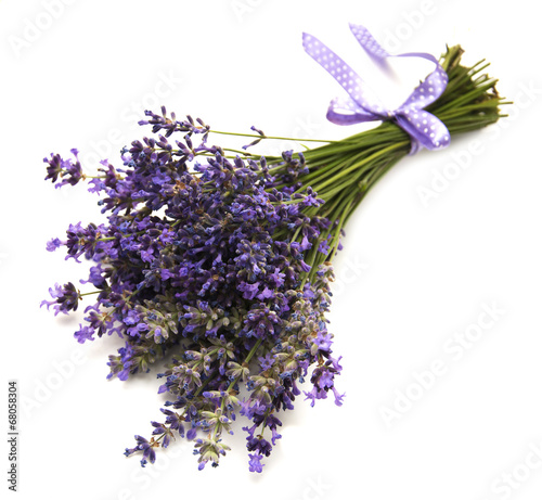 Fototapeta Naklejka Na Ścianę i Meble -  bunch of lavender flowers
