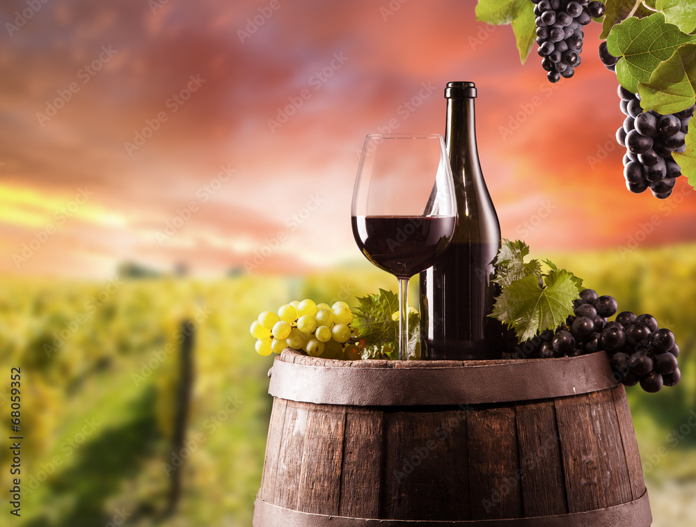 Red wine still life with vineyard on background