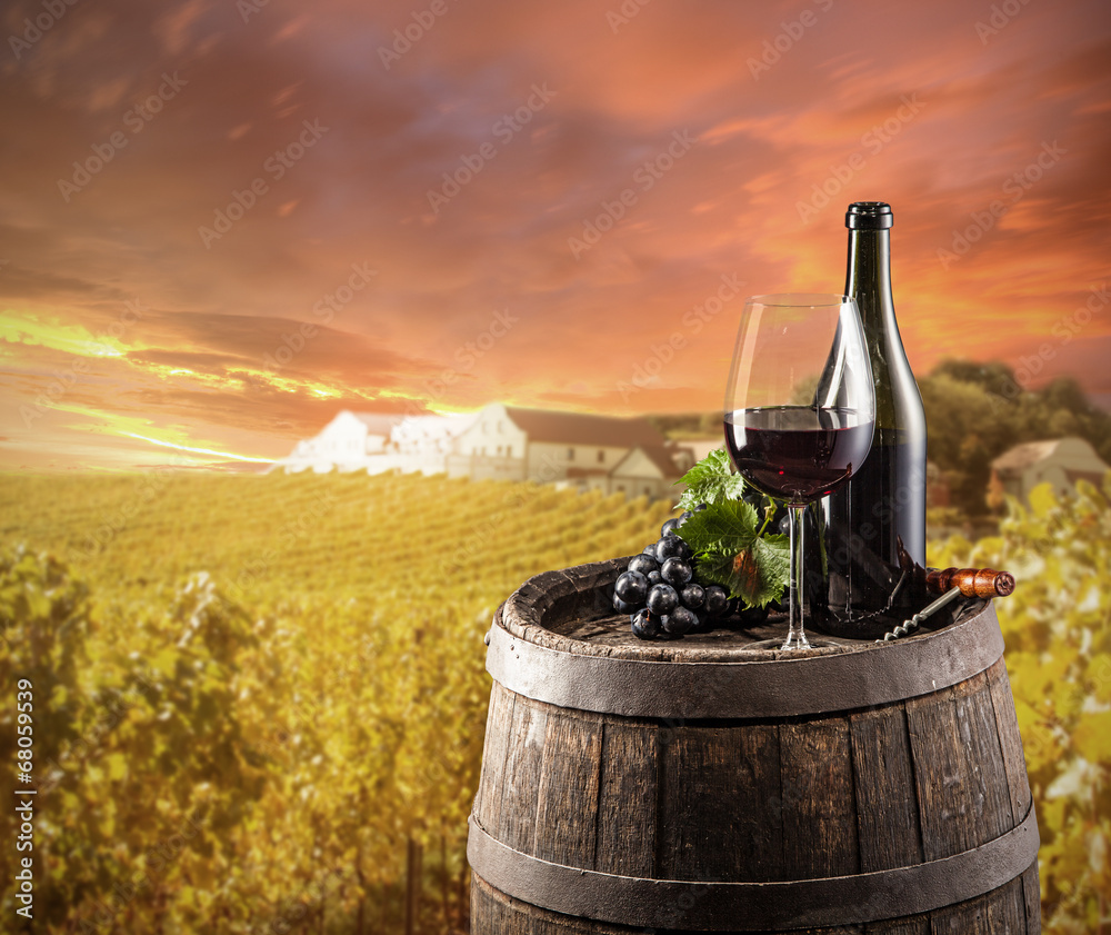 Red wine still life with vineyard on background