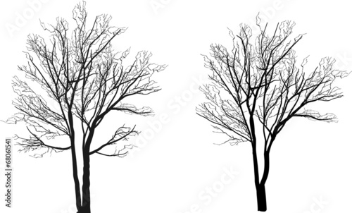 small two bare isolated tree silhouettes