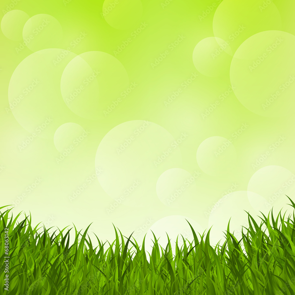Fresh grass on green background - obrazy, fototapety, plakaty 