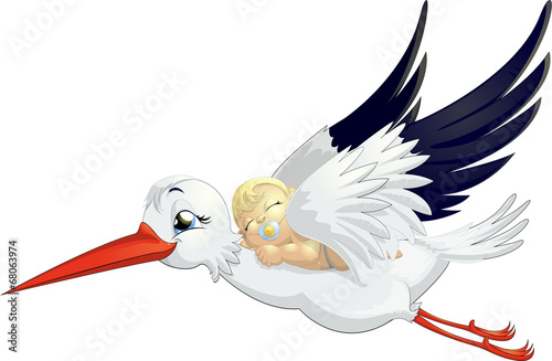 stork