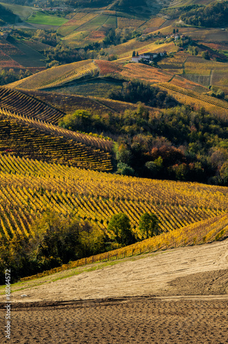 Autunno nelle Langhe