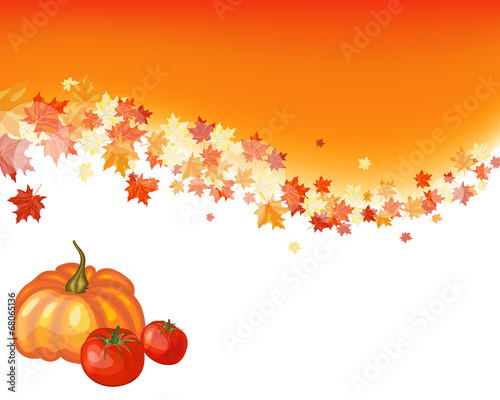 Autumn maple background
