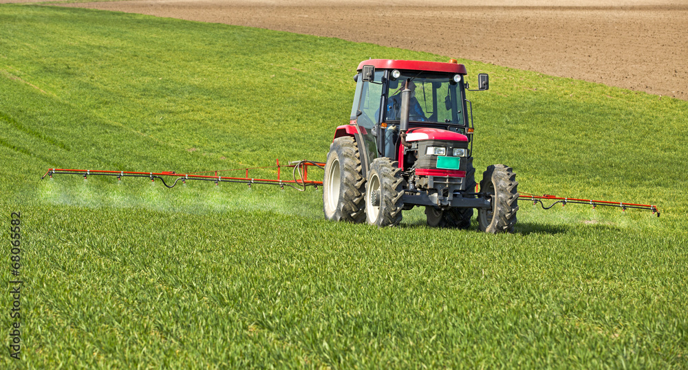 Obraz premium Farmer spraying wheat field at spring season
