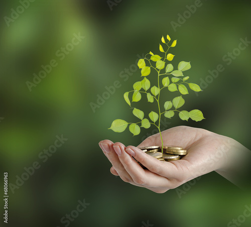 Принти на полотні Investing to green business