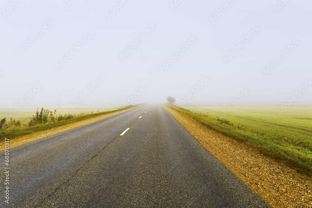 Fototapeta premium Mist road.