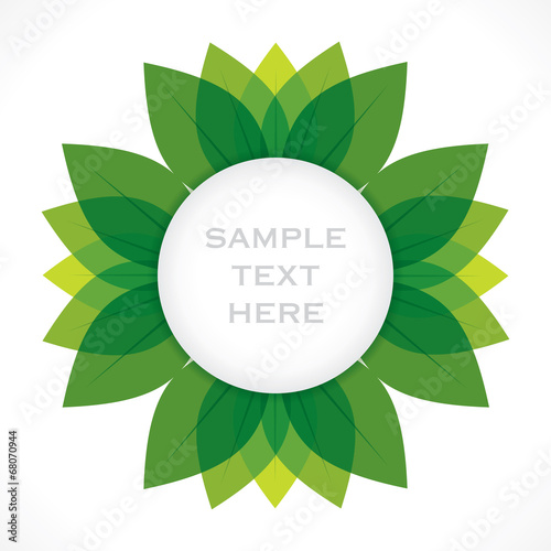 creative green leaf label design vector