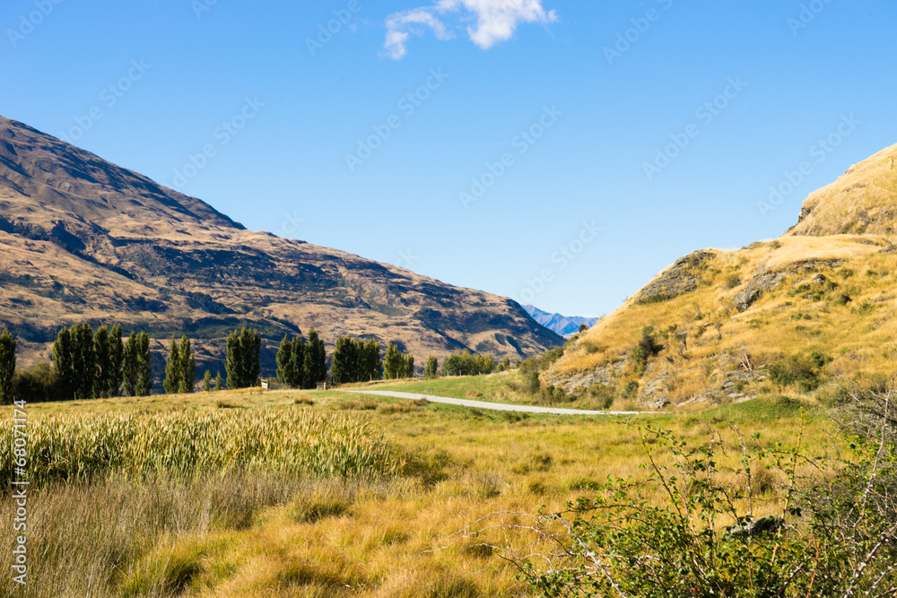 Naklejka premium Picturesque landscape