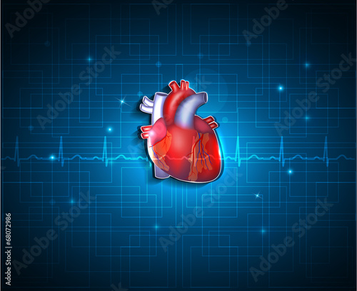 Healthy heart on a blue technology background