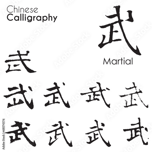 Various kind of Chinese Calligraphy "Martial"