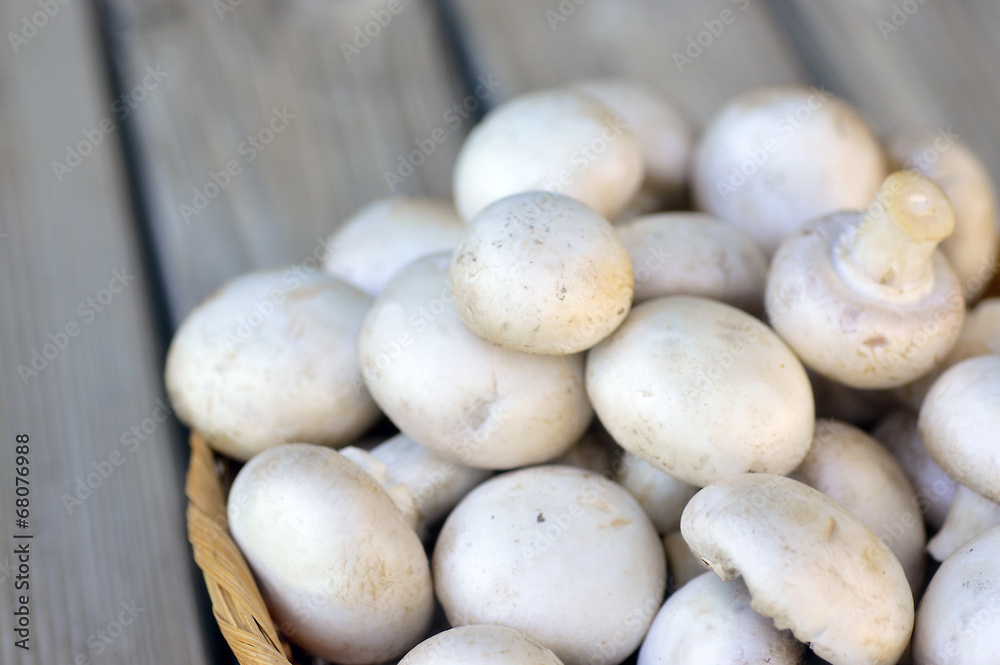 Button mushrooms. Button mushrooms.