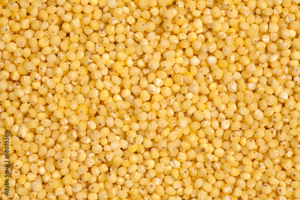 Millet Millet