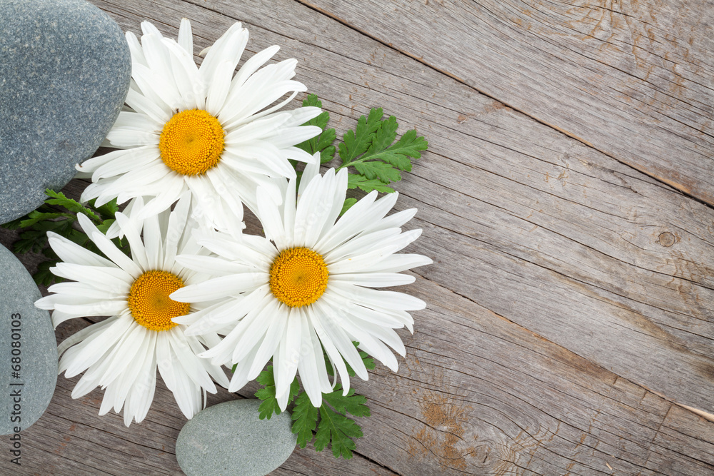 Fototapeta premium Daisy camomile flower and sea stones