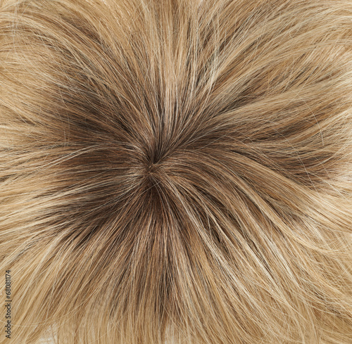 Hair fragment as a background composition