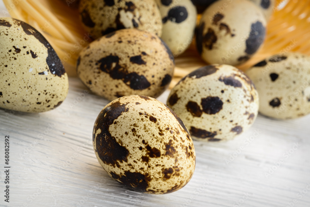 quail eggs quail eggs