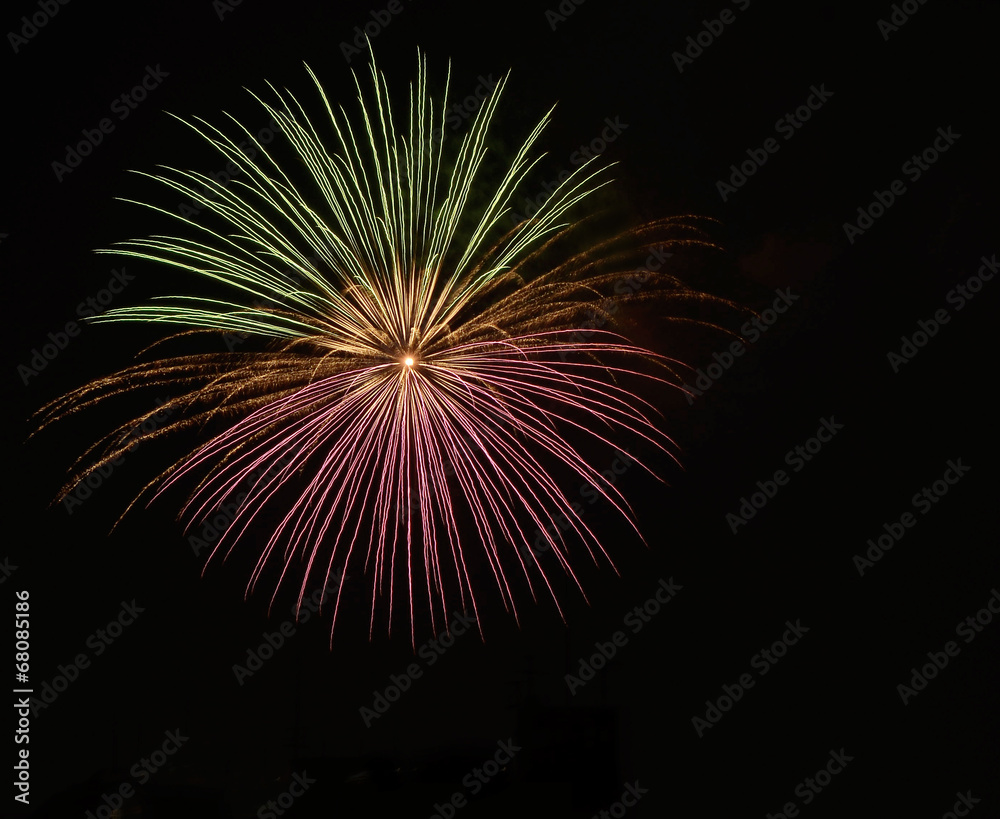 firework firework
