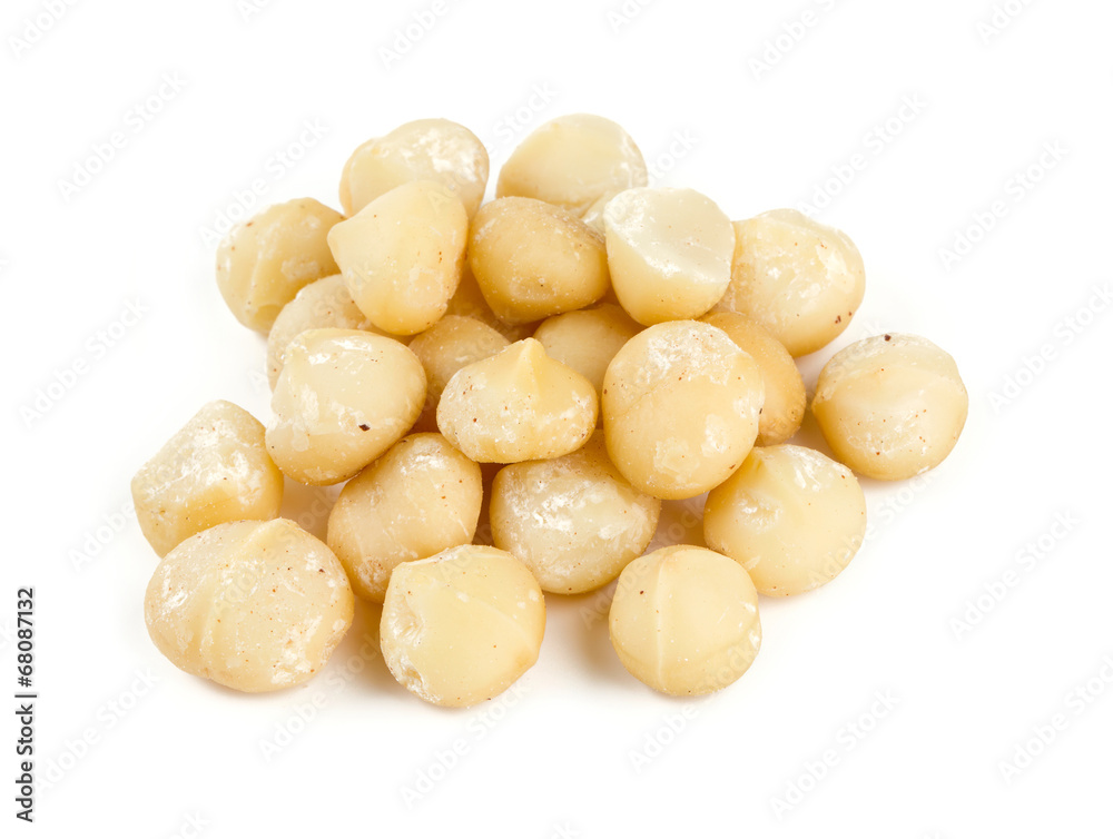 macadamia nut macadamia nut