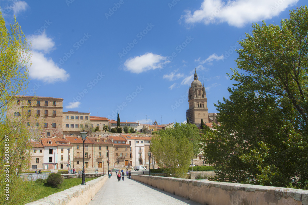 Salamanca from Roman bridge