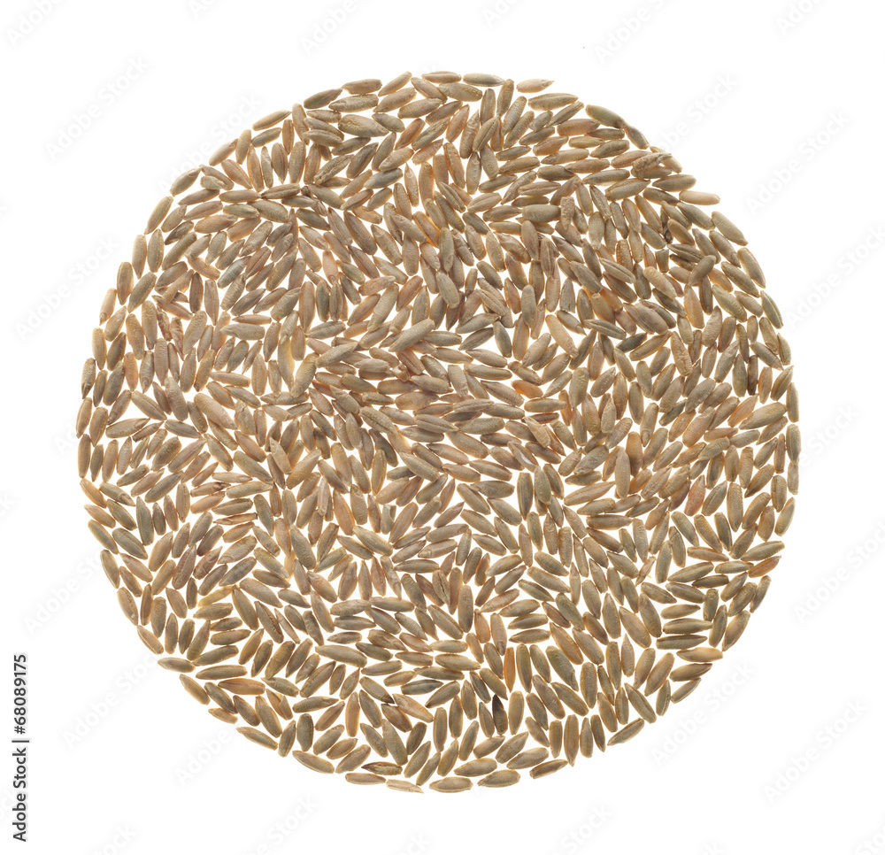Rye grains on white background Rye grains on white background