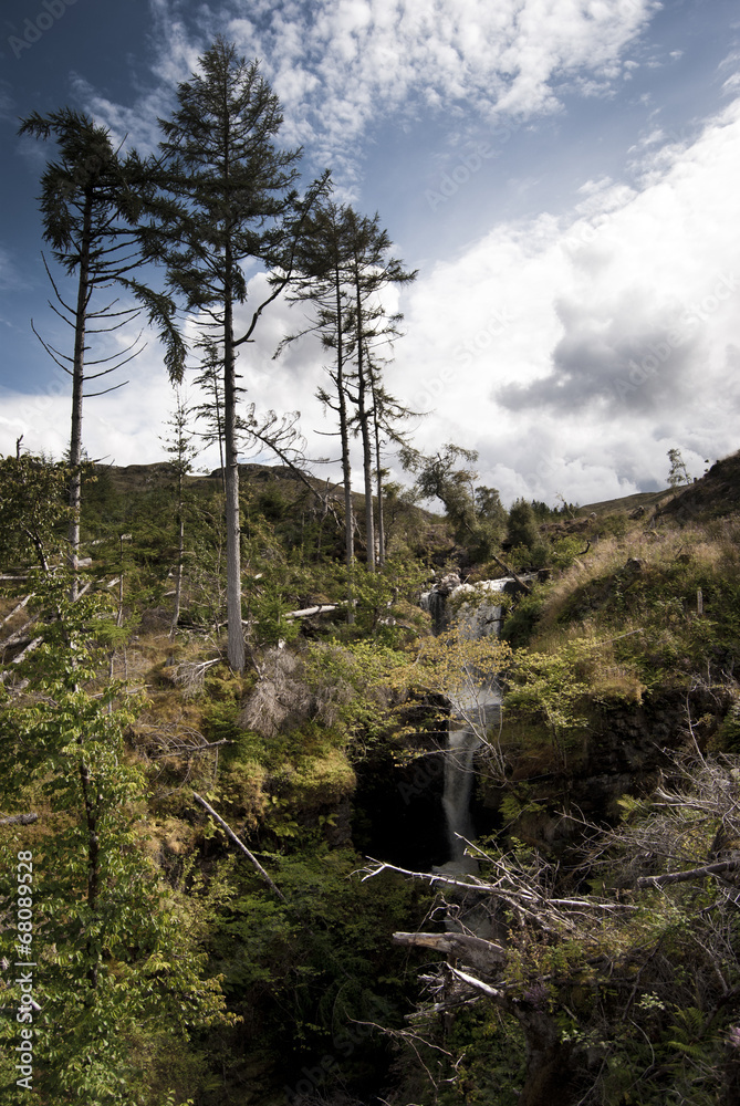tra ullapool e torridon - scozia #07