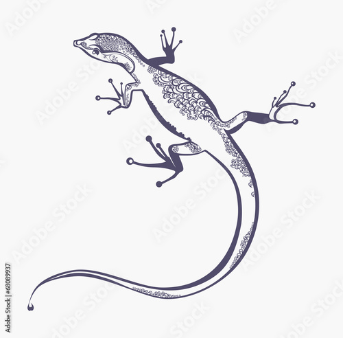 Lizard with a scaly pattern.