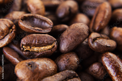 Close Up Coffee Whole Beans