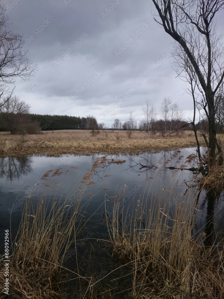 Kampinoski Park Narodowy - kanał Łasica