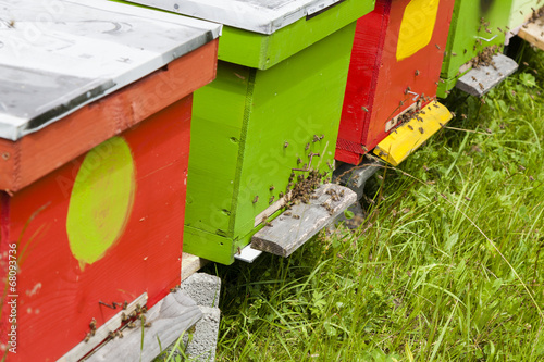 Beehives © Zstock